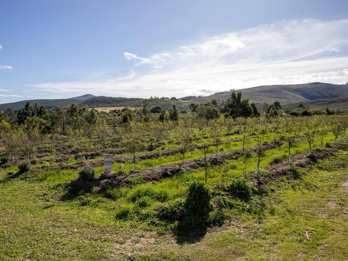 20 Good Summers Farm Stay The Crags Exterior foto