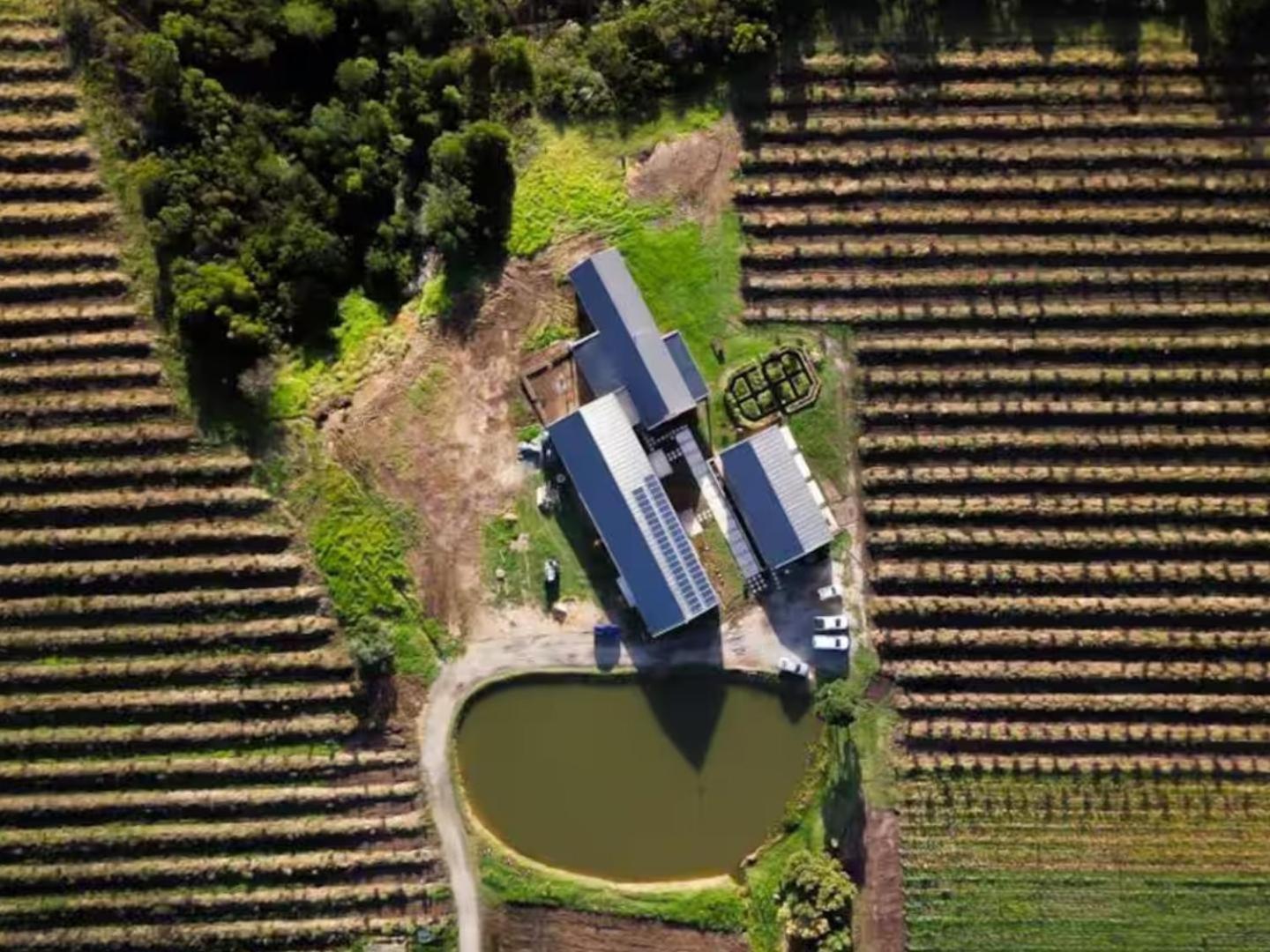 20 Good Summers Farm Stay The Crags Exterior foto